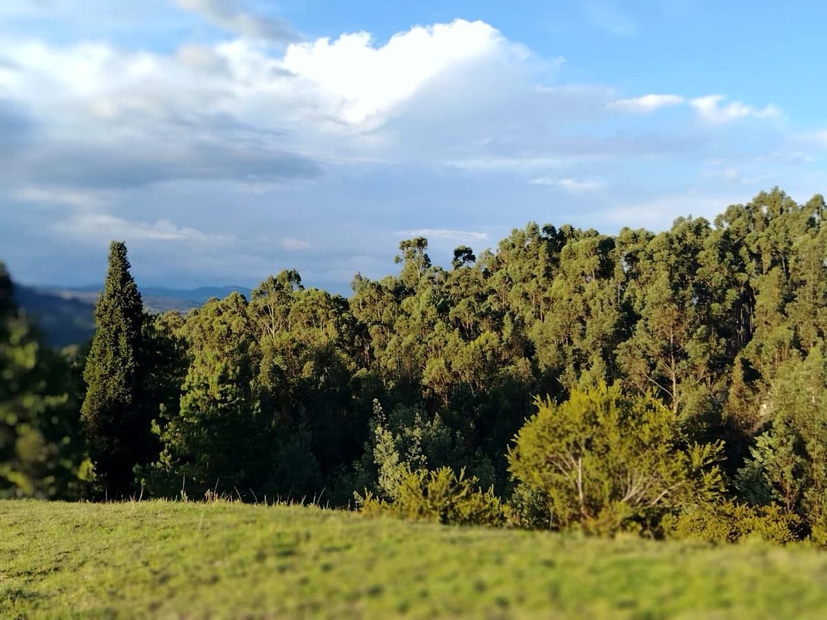 Paisaje de montaña que se ve desde la Casa Encanto