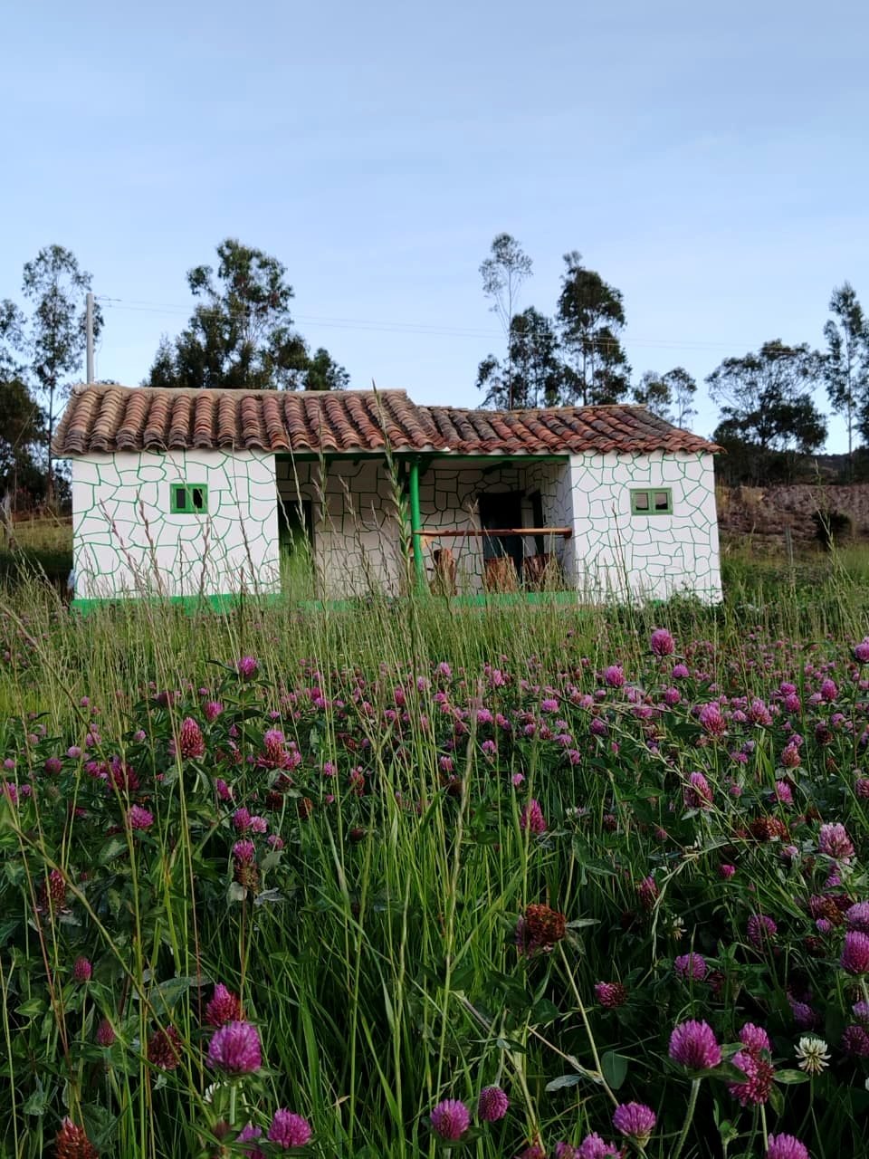 Casa Encanto rodeada de flores silvestres en la pradera de Pesca, Boyacá