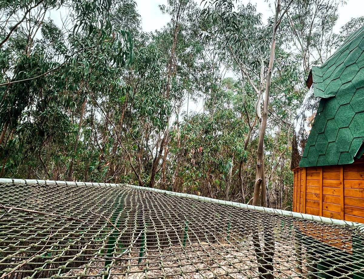 Malla catamarán suspendida sobre el bosque en el Domo Calar Alto