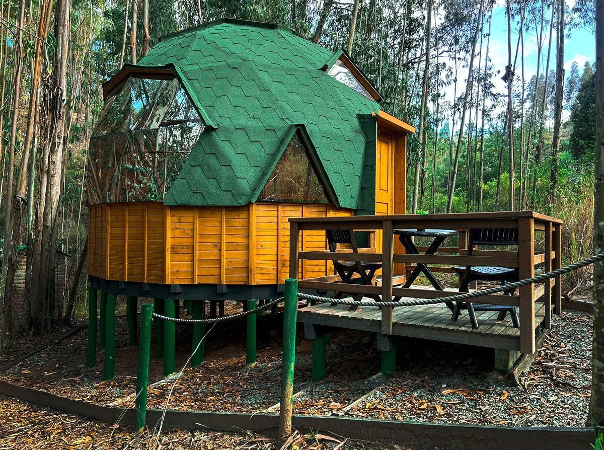 Exterior del Domo Gamoniteiru con su cúpula verde entre los árboles