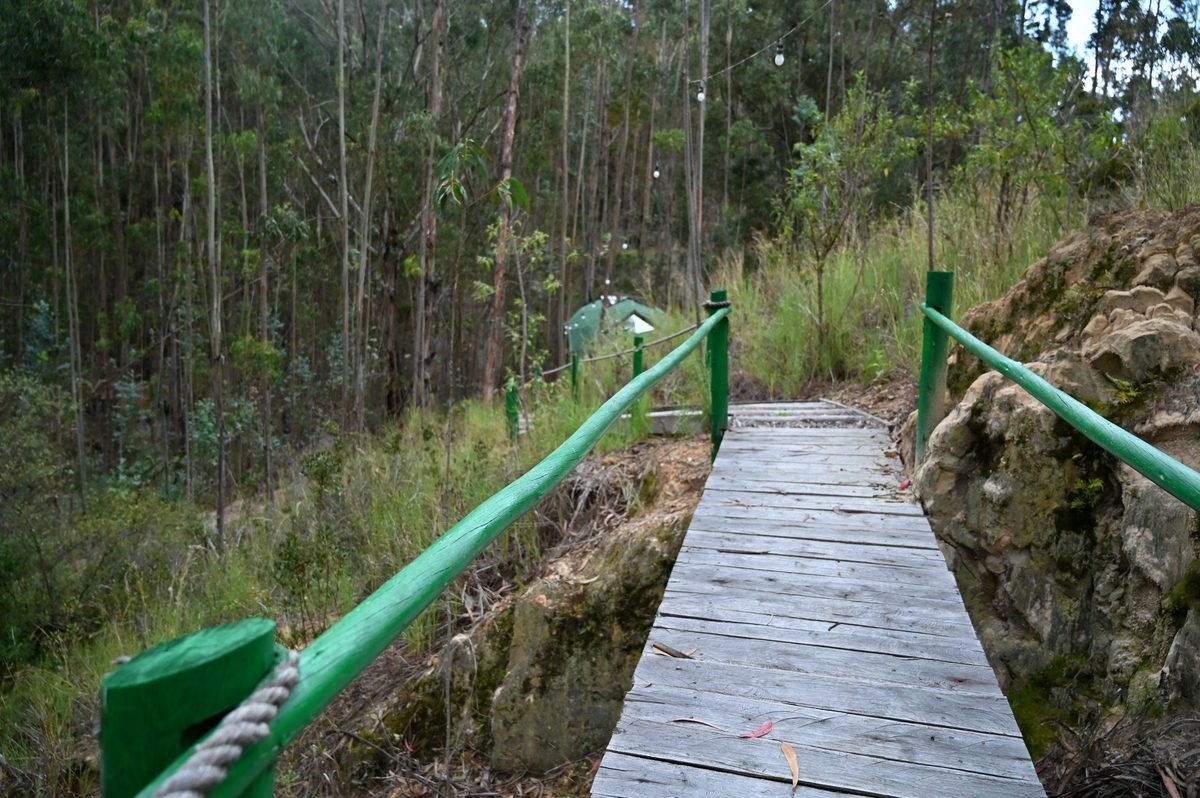 Pasarela de madera que conecta la entrada con los domos