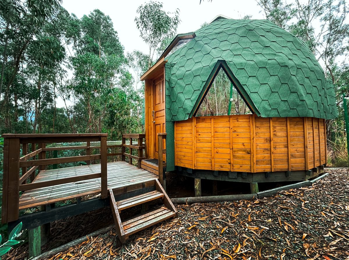 Domo geodésico entre los eucaliptos del glamping en Pesca, a 21 km del Lago de Tota
