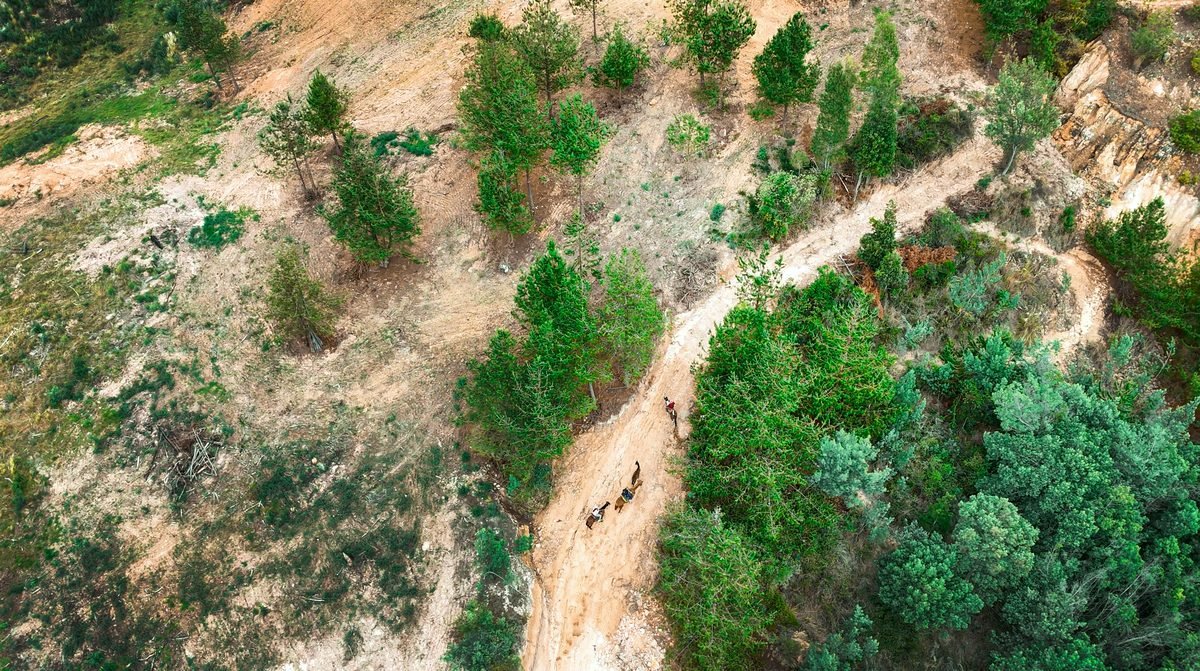 Vista aérea del trazado de tierra de la pista de MTB