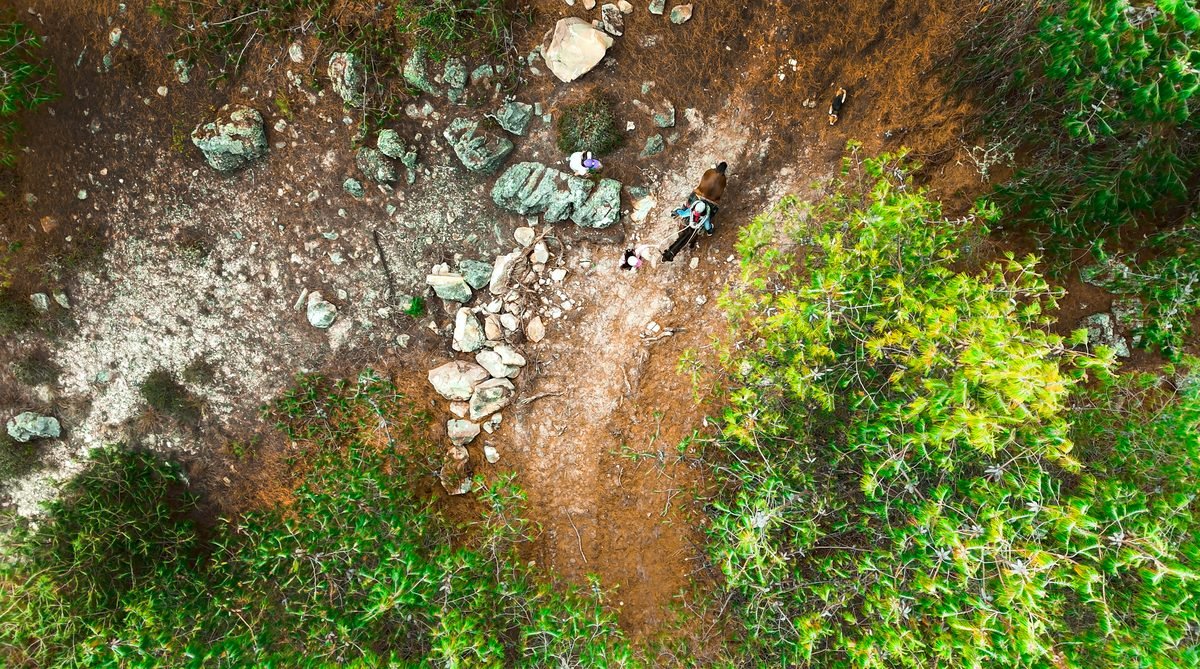 Tramo de bajada de la pista de MTB en la ladera