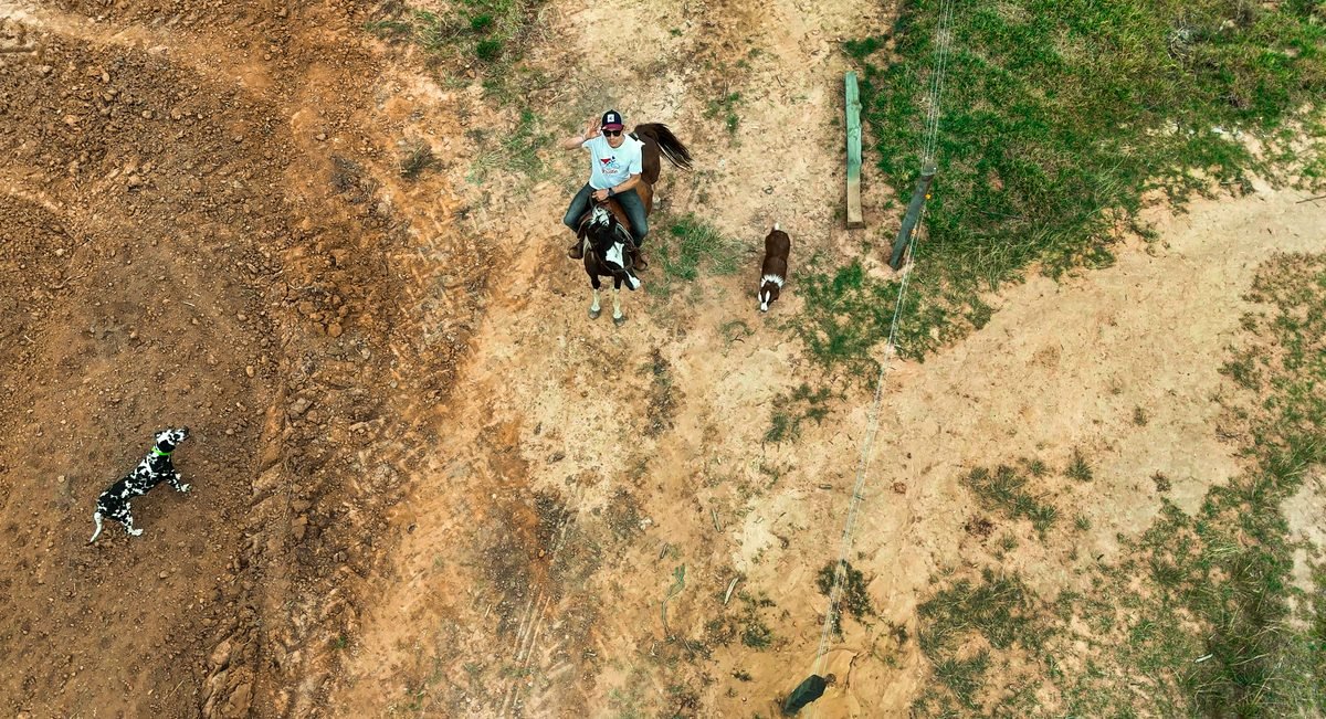 Trazado de la pista de MTB entre el bosque de eucaliptos, vista aérea