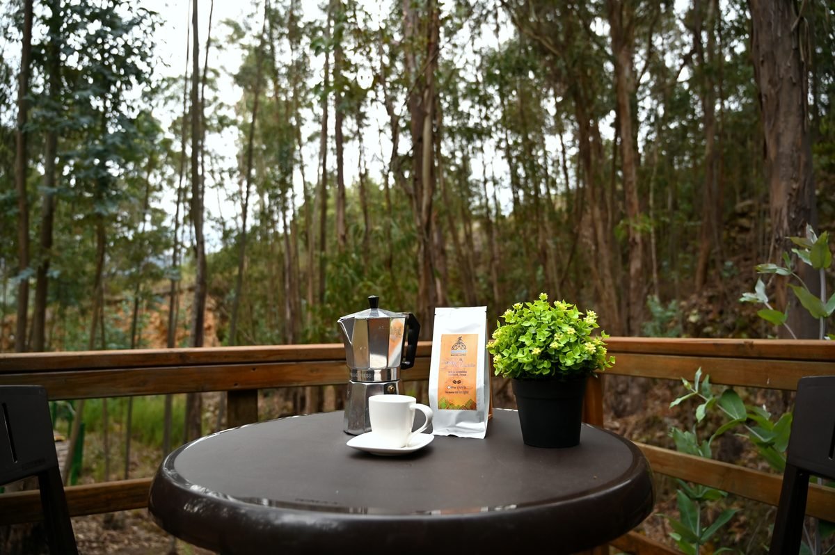 Café recién hecho servido en la terraza de un domo con el bosque de fondo