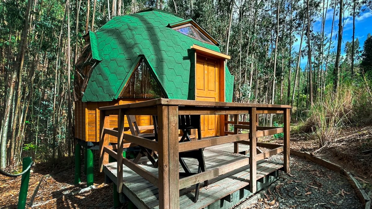 Domo geodésico de cúpula verde con terraza de madera entre los eucaliptos, en Pesca, Boyacá